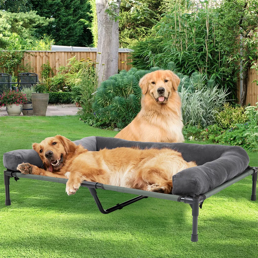 BINGOPAW Outdoor Dog Bed Eleva - مراجعة Outdoor Camping Cot وسعره