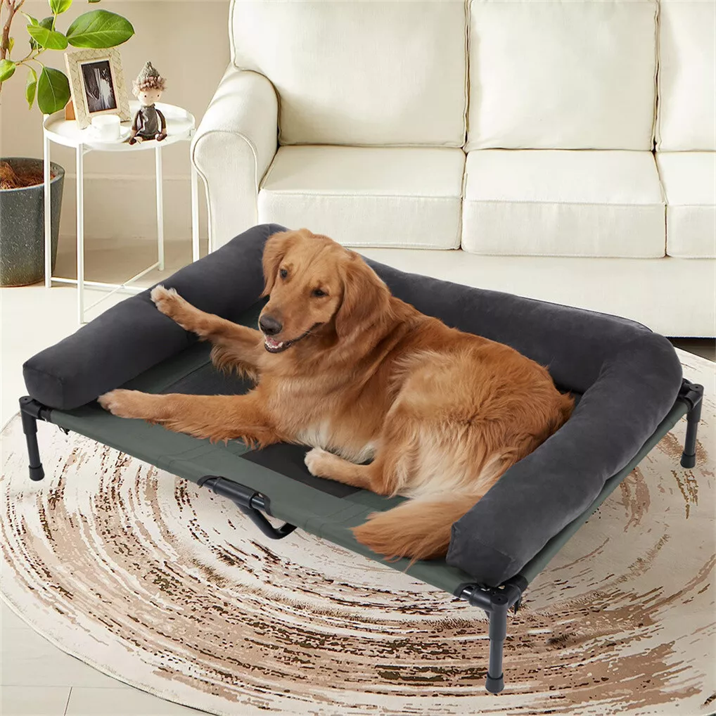 BINGOPAW Outdoor Dog Bed Eleva - مراجعة Outdoor Camping Cot وسعره