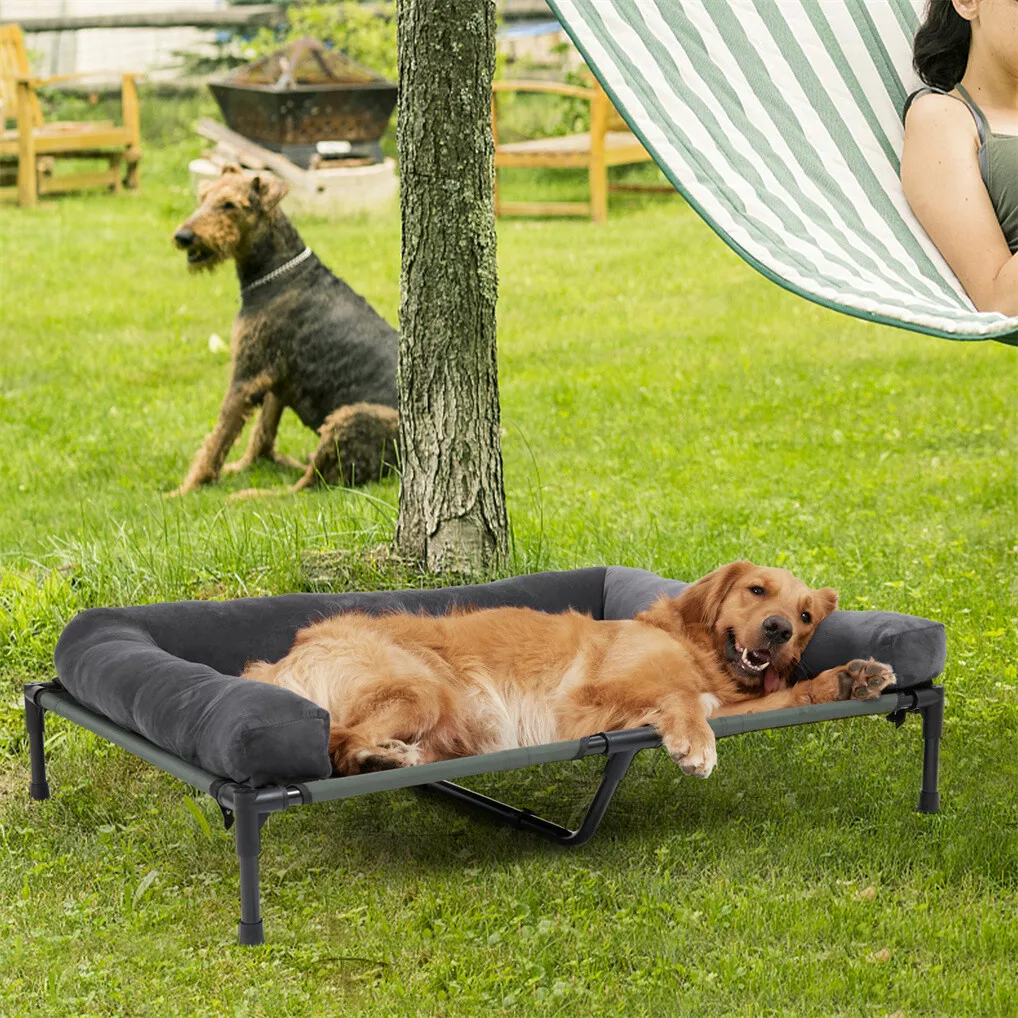 BINGOPAW Outdoor Dog Bed Eleva - مراجعة Outdoor Camping Cot وسعره