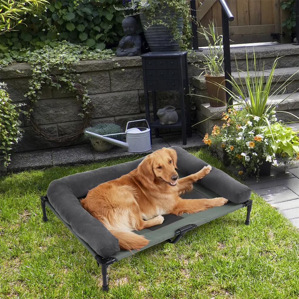 BINGOPAW Outdoor Dog Bed Eleva - مراجعة Outdoor Camping Cot وسعره
