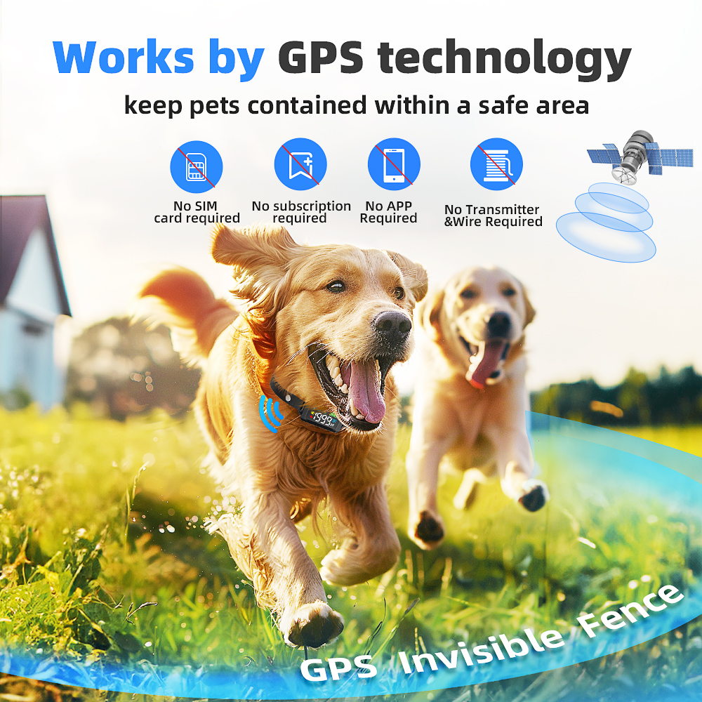Portable Outdoor Camping IPX7  - مراجعة Outdoor Camping Dog Fence وسعره